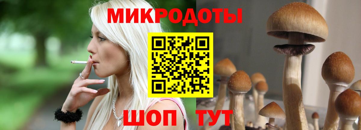 Ишимбай  Псилоцибиновые грибы мухоморы  Галлюциногенные грибы прущие грибы  Вход с VPN 